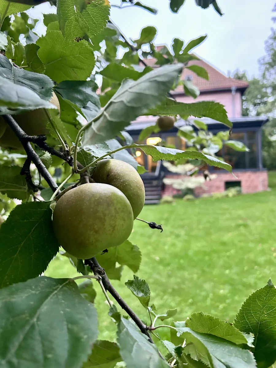 Pilates na wyjeździe